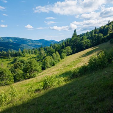 Güneşli bir günde dağlarda yeşil bir tarlanın güzel bir görüntüsü.