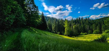 Dağ sırası olan güzel bir manzara.