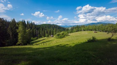Bir dağ sırası ve ormanı olan güzel bir manzara.