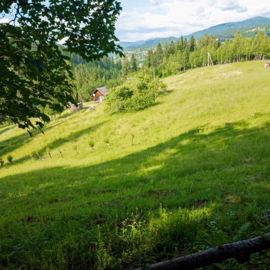 Karpatların yaz manzarası