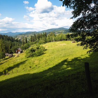 Ormanı ve bulutlu gökyüzü olan güzel bir dağ manzarası.