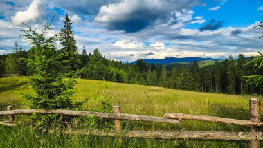 Yazın ormanda Karpatların çayırında ahşap bir bank.