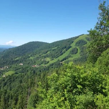 Yeşil ağaçları ve mavi gökyüzü olan güzel bir manzara.