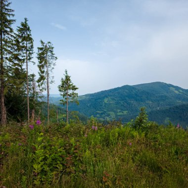 Dağların güzel manzarası