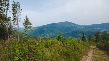 Yazın Karpat Dağları