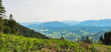 Arkasında bir dağ olan güzel bir manzara.