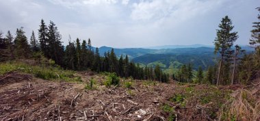 Arkasında bir dağ olan güzel bir manzara.