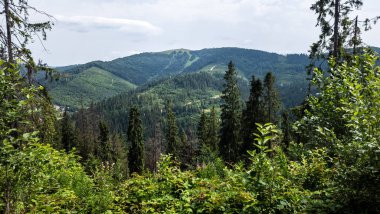 Karpat Dağları 'nda yaz, Ukrayna