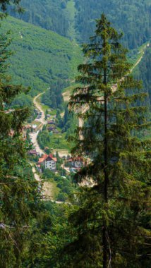 Yeşil ormanlı güzel dağ manzarası