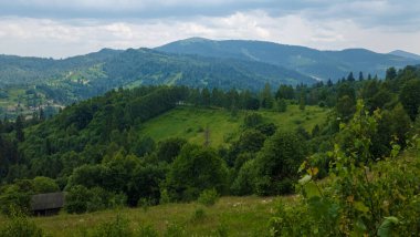 Karpat dağlarının güzel yaz manzarası