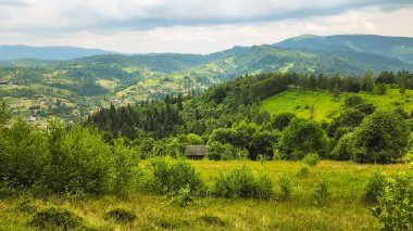 Karpatya yaz manzarası, Ukrayna