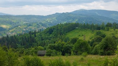 Ukrayna Karpatları 'nın güzel manzarası. yaz günü.