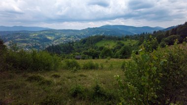 Yaz mevsiminde Carpathian köyü. Ukrayna. manzara.