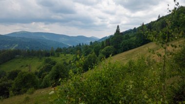 Karpatlar 'da dağda güzel bir yaz günü