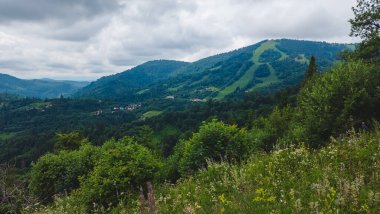 Yazın dağları ve ormanı olan yeşil tepeler