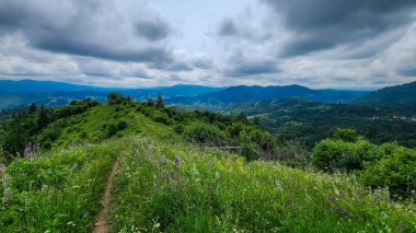 Gündüz vakti mavi bulutlu gökyüzünün altında yeşilliklerle çevrili yeşil tepelerin dikey görüntüsü