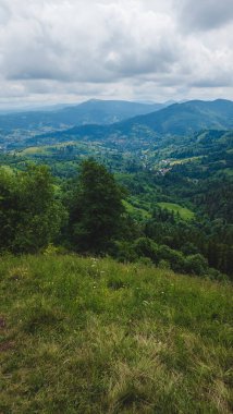 Güzel bir manzara Ağacı ve mavi gökyüzü