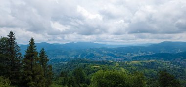 Karpatya ormanındaki güzel dağ manzarası