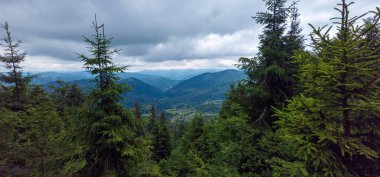 Avrupa 'daki Karpatlar' daki güzel dağ manzarası