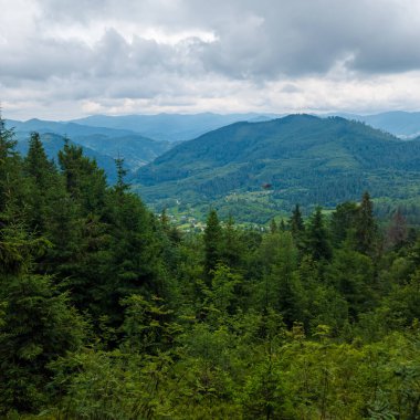 Karpatlar 'daki dağlarda güzel bir yaz manzarası, Ukrayna