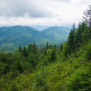Karpatca yaz dağları