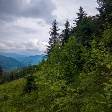 Dağlarla ve mavi gökyüzüyle yaz manzarası.