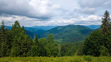 Yazın Ukrayna Karpatları 'nda yeşil dağlar. Doğa manzarası.