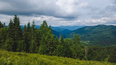 Yazın yeşil dağlar ve orman