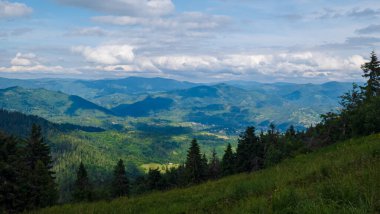 Karpat dağlarının güzel yaz manzarası.
