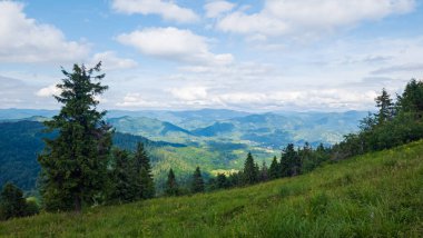 Karpat Dağları'nın yaz manzara