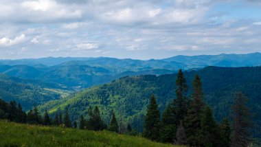 Ukrayna 'daki Karpatya manzarası