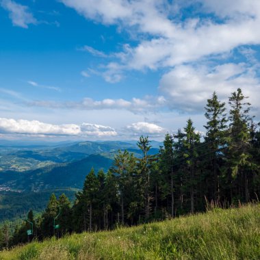 Dağ manzarası ile yeşil ağaçlar