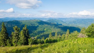 Karpatların güzel manzarası
