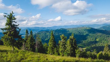 Dağlarda yeşil çam ağaçları ve mavi bulutlar