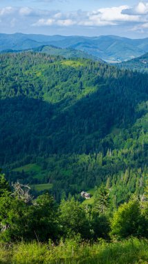 Ukraynalı Karpatlar 'daki dağ sırasının manzarası