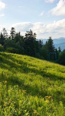 Yeşil çimenleri ve mavi gökyüzü olan güzel bir manzara.