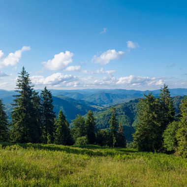 Yeşil bir ormanda dağ sırası olan güzel bir yaz manzarası.