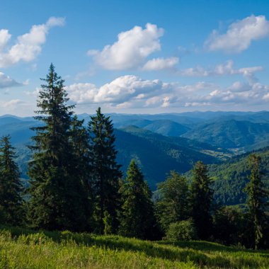 Yazın güzel dağ manzarası