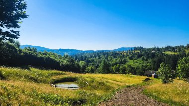 Yazın dağ manzarası.
