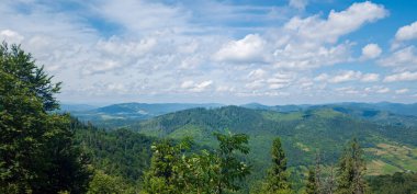 güzel yaz peyzaj Karpat Dağları