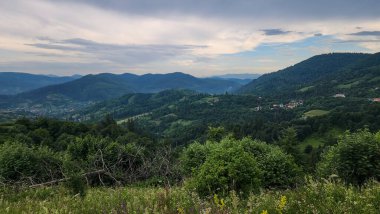 Dağ ve ormanlı yaz manzarası.