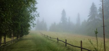 Yaz mevsiminde sisli bir sabah