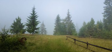 Ukrayna Karpatlarında sabah sisi