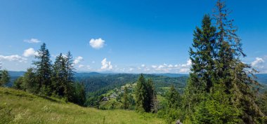 Ormandaki Ukraynalı Karpatların yaz manzarası