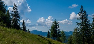 Karpatların güzel manzarası