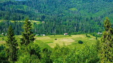 Dağların güzel manzarası