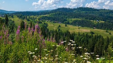 Karpat Dağlarının güzel manzarası