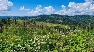 Karpatlar 'daki Karpat Dağları' ndaki manzara