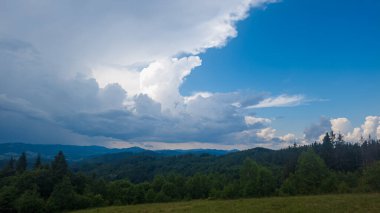 dağlar ve orman ile yaz manzara