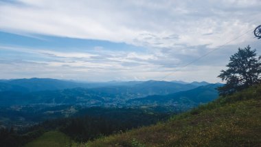 Ormanda bisiklete binen bir adam.